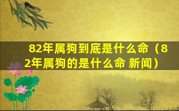 82年属狗到底是什么命（82年属狗的是什么命 新闻）